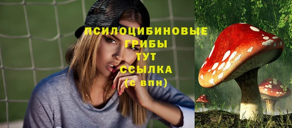 дмт Липки